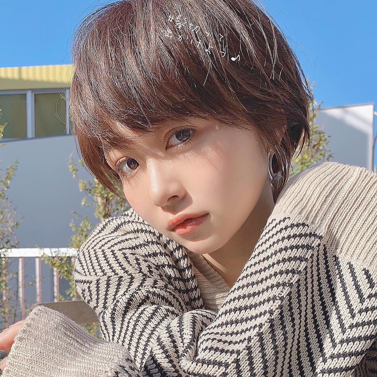 2025年秋 小顔ヘアベリーショートホットペッパービューティー ヘアスタイル