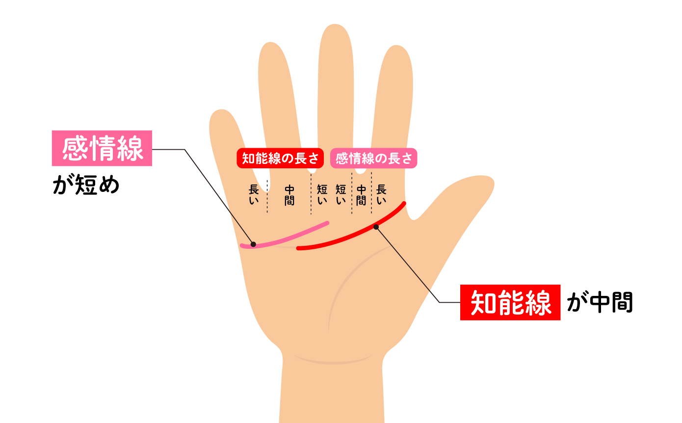 手相占いで金星丘 親指の付け根 の意味15選！縦線・横線Spicomi