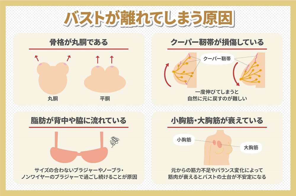 バストアップを叶える！胸の位置を高くするブラ&寄せて上げるブラを紹介