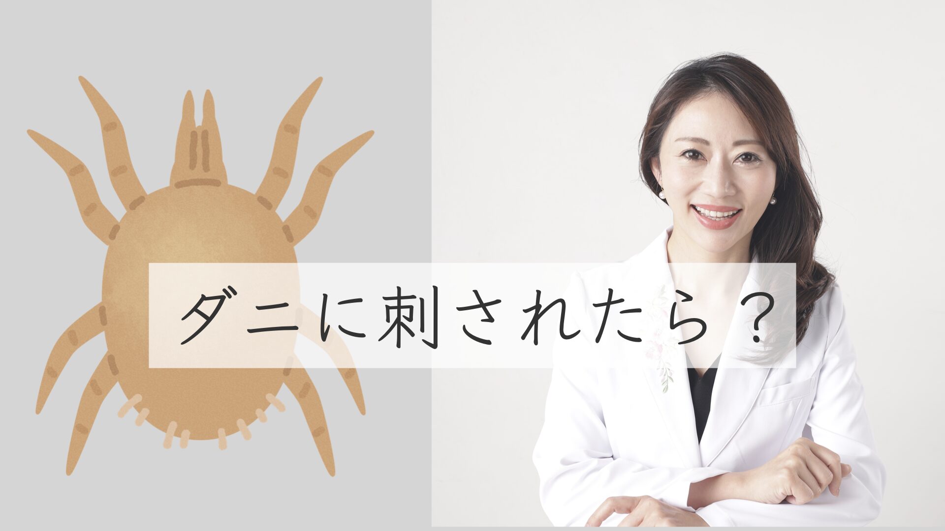 虫さされの症状・原因くすりと健康の情報局