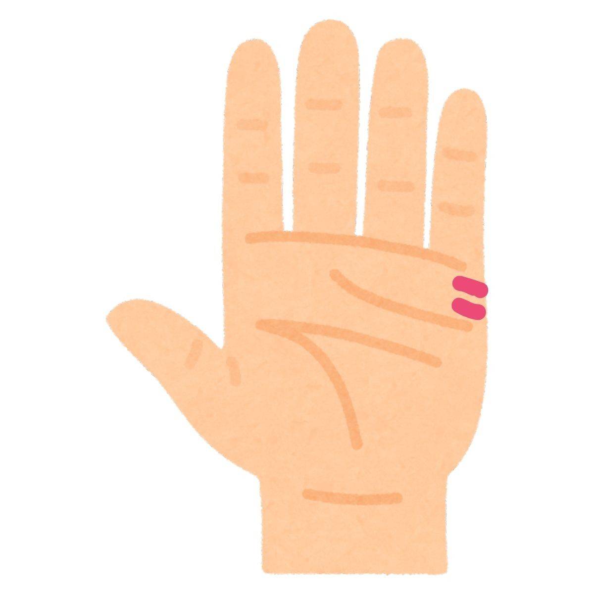 結婚線とは？手相占いで結婚する時期や回数が分かる？手相の意味や見方を図解で解説結婚相談所なら ゼクシィ縁結びエージェント