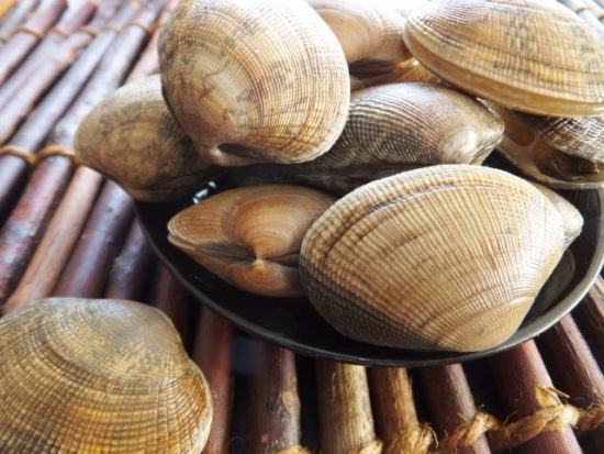 砂抜き しじみの砂抜き時間は何分？塩の量と短時間！時短のお湯de砂出しを解説