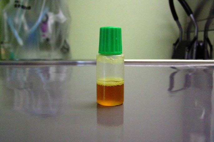 ドクツルタケ 猛毒 テングタケ科「食品衛生の窓」東京都保健医療局