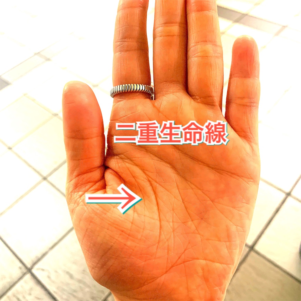 手相の生命線の意味と見方！短く薄い・枝分かれなど