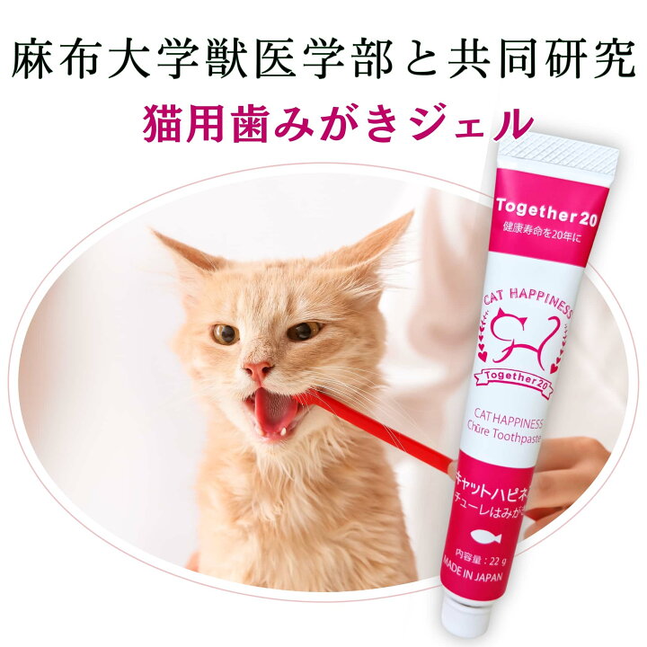 キャットハピネスチューレはみがき 猫 歯磨き 歯磨き粉 歯磨きジェル 口臭 口臭ケア 歯周病 22G