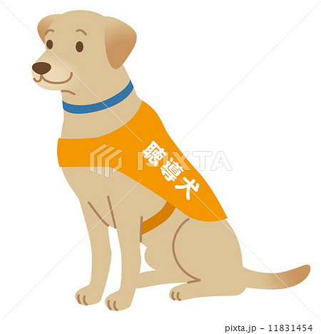 標識SQUARE 「補助犬同伴可」 CFS5013ホワイトフィルムステッカー 強粘着 正方形 横92mm×縦92mm標識SQUARE,案内,利用方法案内 標識・サイン製造直販 標識SQUARE本店