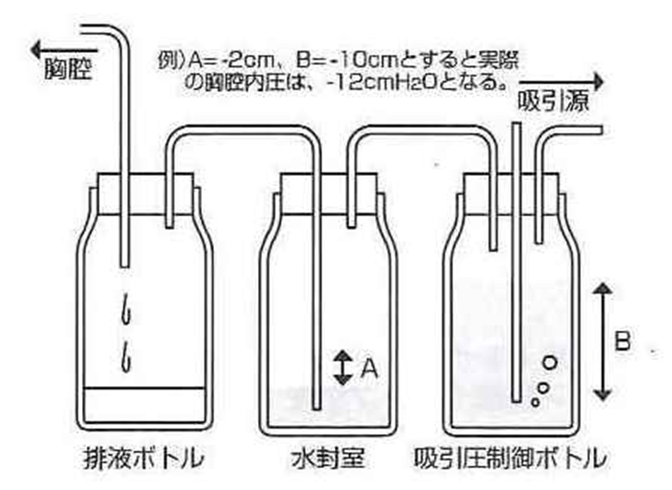 からだずかん on X: 