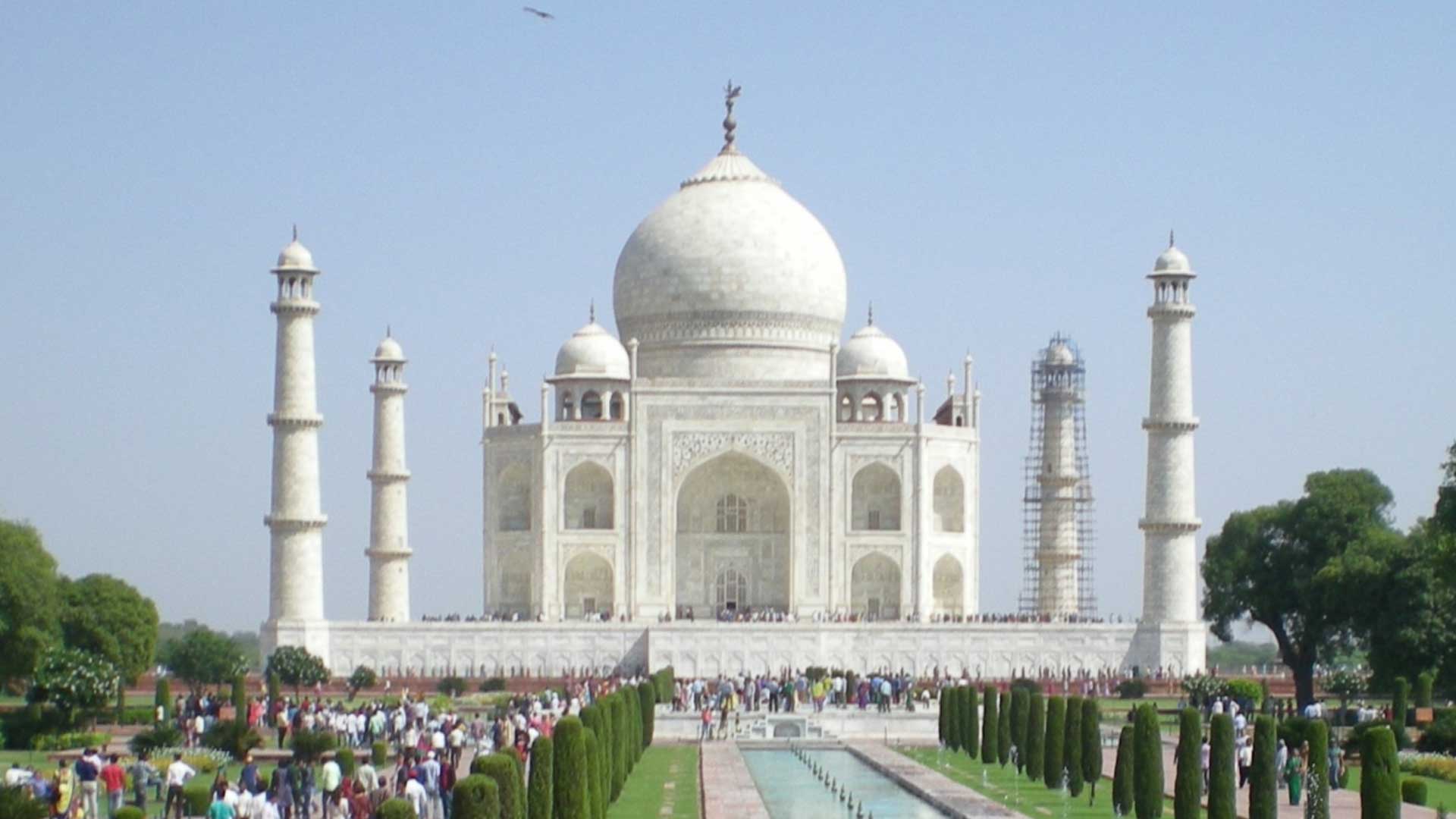 タマネギには魔除け効果も！？神秘的なパワーを解明 - ティヨル株式会社