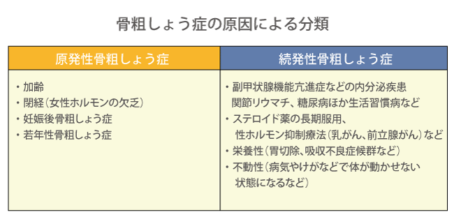 8 骨粗鬆症と高齢者の姿勢酒井医療株式会社