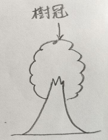 精神科医イラスト無料イラスト・フリー素材なら「イラストAC」