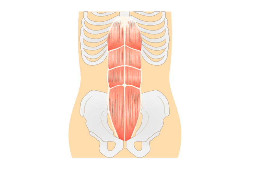 お腹にガスが溜まる原因は？関連する病気や予防方法について解説腰痛メディアzen placeが発信する痛みの情報サイト