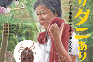 ツチハンミョウ - Wikipedia