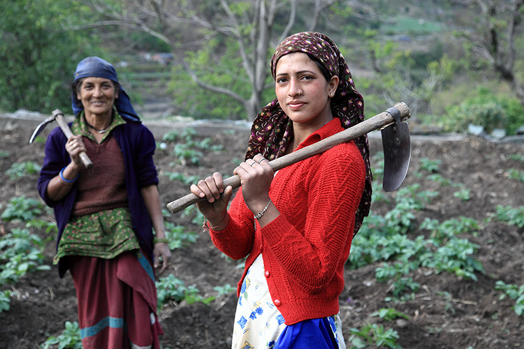 結局顔なのーー！？ 少しはまともになったと思いきや、好きな人への告白は「お前は無理！」と玉砕！ 4- レタスクラブ