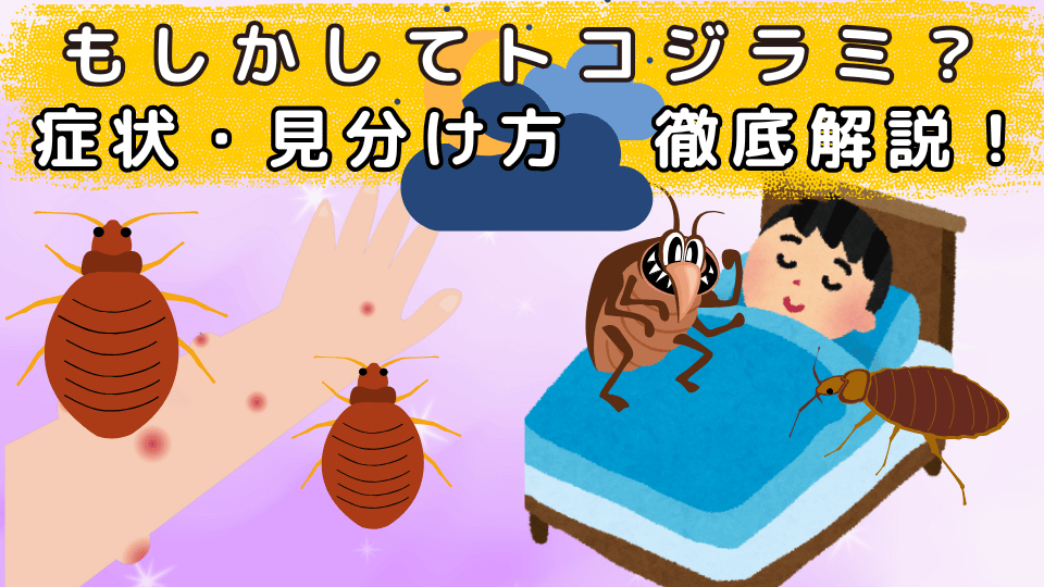 自分で解決 トコジラミの駆除・対策方法を業者が暴露 - 害虫獣SOS