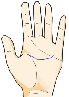頭脳線 知能線 の意味とは？二本に枝分かれしていたり切れてたり長い まっすぐや下向き ・短い時の意味を画像で詳しく紹介！無料占いfushimi