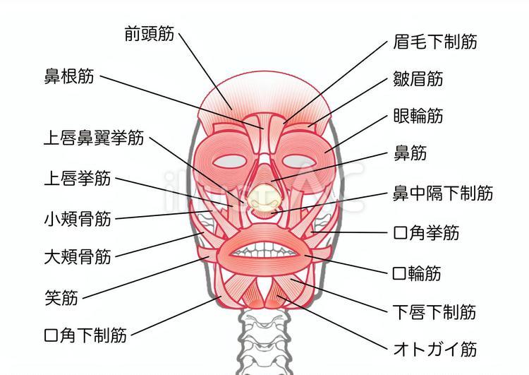 1日10秒で効果を実感も たるみ、しわ、むくみ、くすみを一掃して若返り！表情筋研究家が教える“顔トレ＆舌トレ”7つ1 3女性セブンプラス