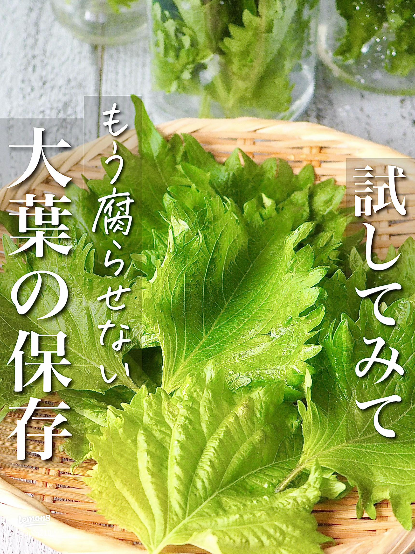 大葉の保存方法♪我が家の場合