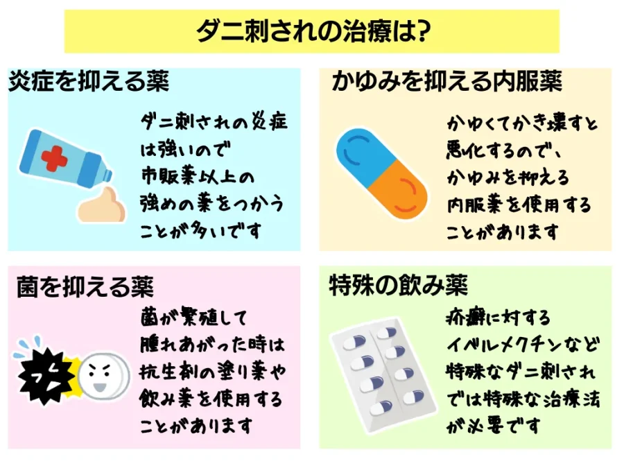 マダニに刺されたら？マダニの大きさから症状・マダニ対策について解説ひまわり医院 内科・皮膚科
