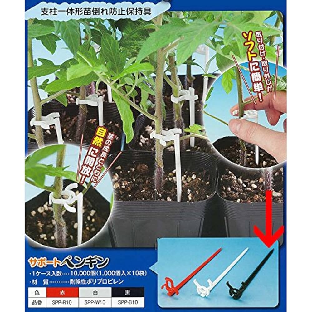 リアルエンペラーペンギンぬいぐるみ Ｌサイズ大丸松坂屋オンラインストア 公式通販