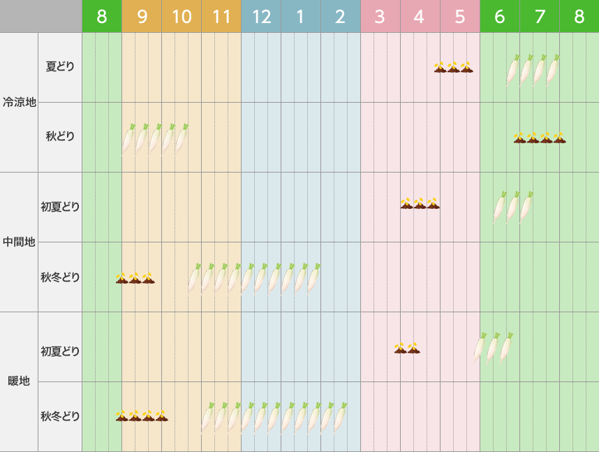 ワクワクは続くよ！タネから菜園プラン。花ごころメディア花ごころ