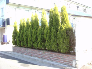 緑化助成制度 – 八勝園自治会