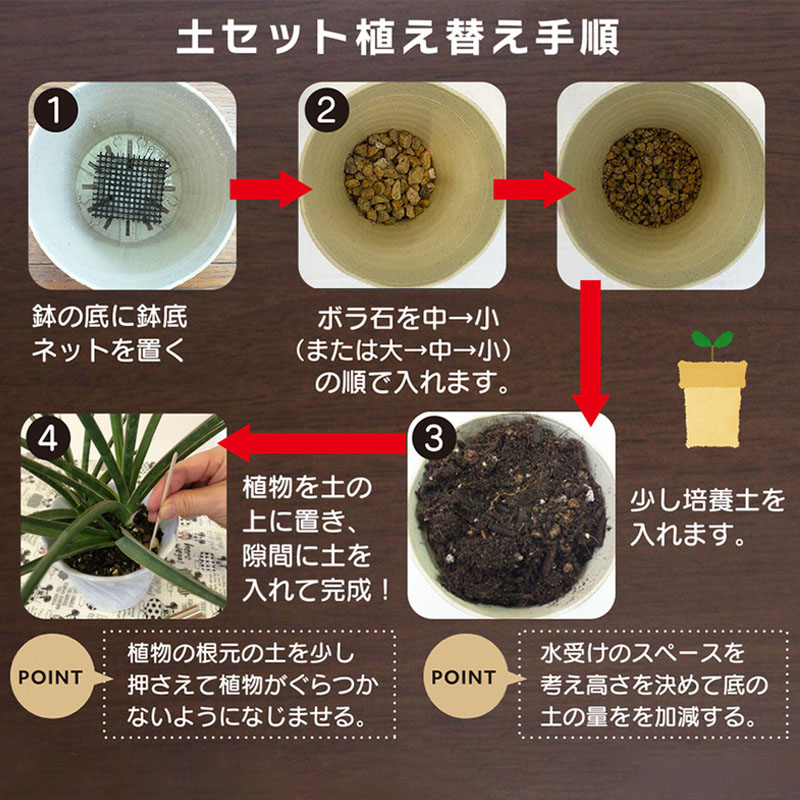 観葉植物の植え替え「鉢のサイズ」や「土の崩し方」必要なもの、適期