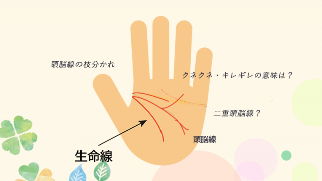 手相 頭脳線 知能線 が切れてる意味は？2本枝分かれ 左手 上など状況別 Callat media カラットメディア