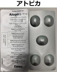 ビクタス®S MTクリーム 6g ボトル vet-i-ch小動物医療従事者向け Vet-i ch物産アニマルヘルス