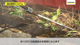 アレを撒くだけでいいの？ 簡単にできる『雑草対策の正解』が参考になる – GLUGLU グルグルby grape