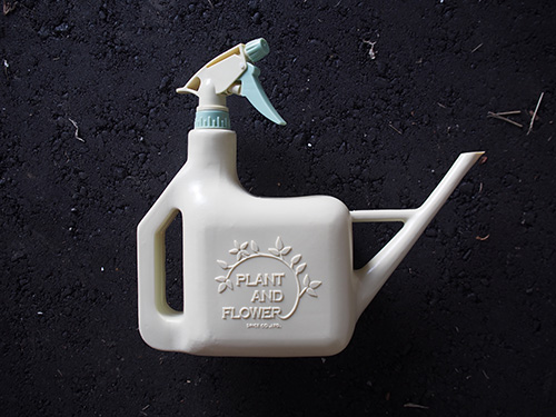 家庭菜園の強い味方「手作り防虫スプレー8選」カメムシ、アオムシ、コナガ、アブラムシ対策に！カジトラ