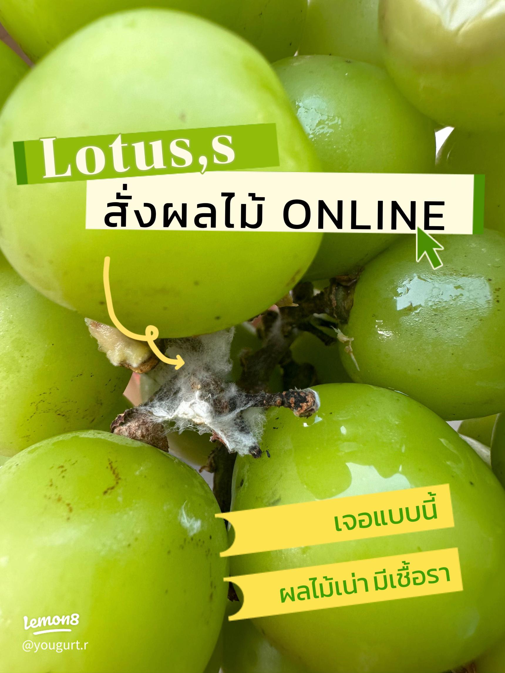 腐った ブドウ くだもの フルーツのイラスト素材 - PIXTA