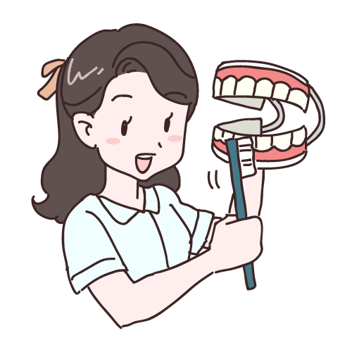 家族にも教えたい！ 歯科医に教わる「正しい歯の磨き方」＆セルフケア最新アイテム - レタスクラブ