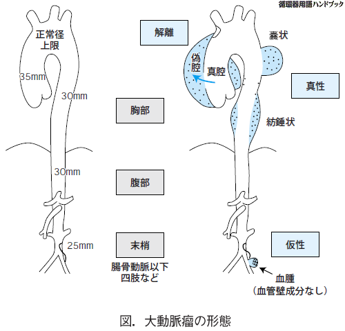 今日もラジオは⁉2時6時 に出演しました～第１１弾～ – 岐阜ハートセンタ