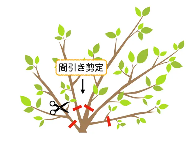 剪定とは木の形を整える作業！初めて剪定する方必見の基礎知識剪定110番