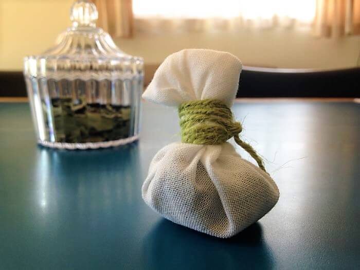 ハッカ油スプレー」の作り方！虫除け、消臭、クールダウンに活用できますニフティ不動産