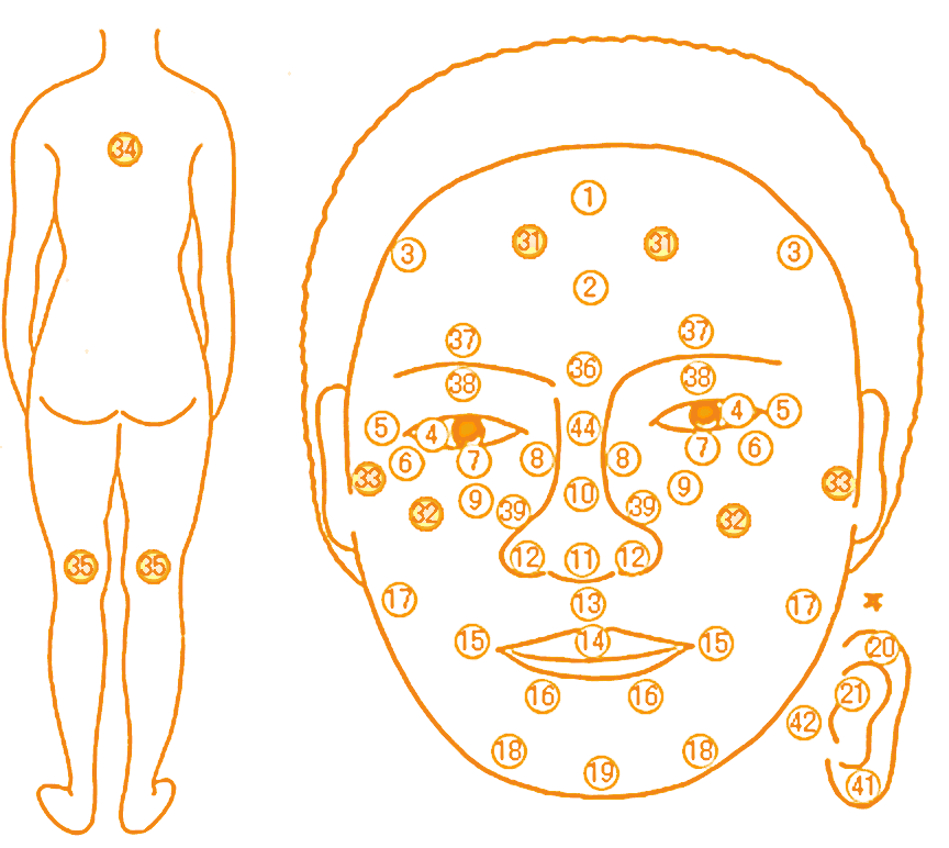 ホクロ占い 顔のホクロが教えてくれる、あなたの金運MIRRORZ ミラーズ無料の心理テスト・診断・占い