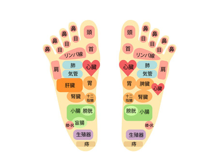 東京山正 - お灸について「つぼのお話」