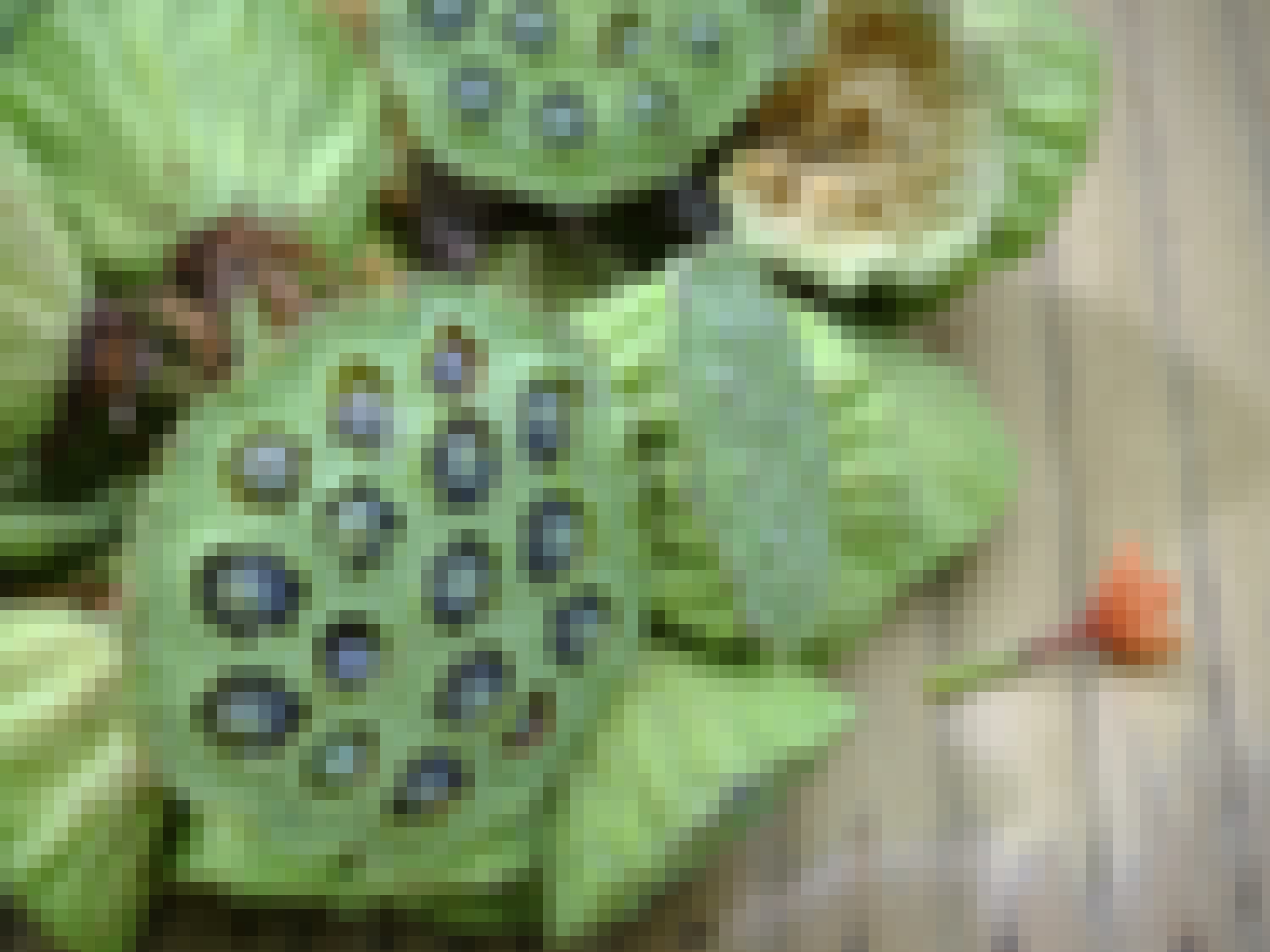 謎の奇病の正体とは看病がかり 後編