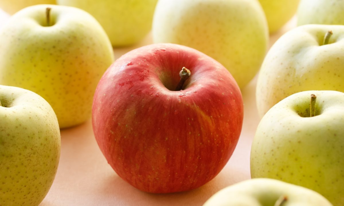 青林檎与へしことを唯一の積極として別れ来にけり 徹底解説!!意味や表現技法・句切れ・鑑賞文など短歌の教科書短歌の作り方・有名短歌の解説サイト