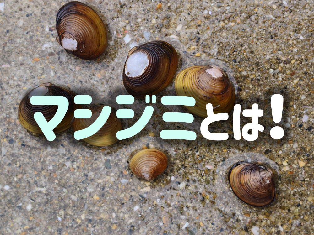 まぶたが下がる、「眼瞼下垂 がんけんかすい 」ってなんですか