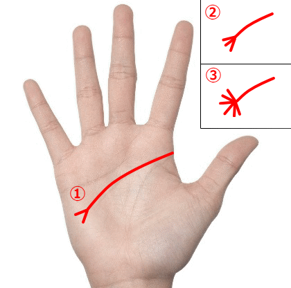 感情線手相占いの見方や意味まとめ！性格の悪さや浮気性がバレる？ - 電話占いおすすめ情報比較サイトキャラミル研究所