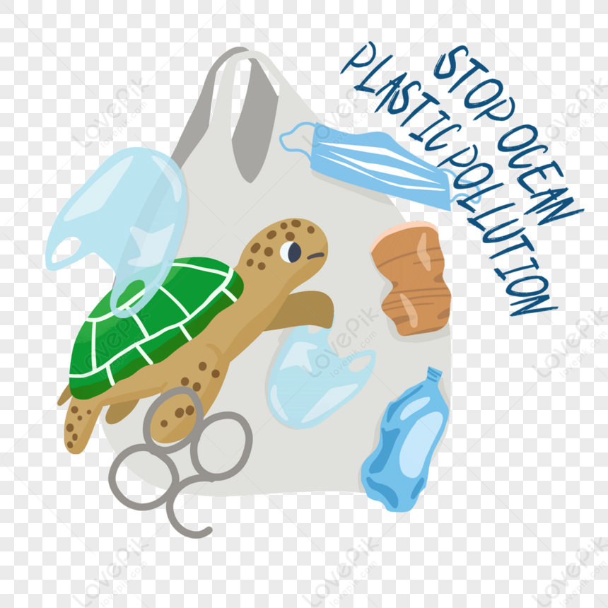 沖縄美ら海水族館で思ったこと～ウミガメのお腹から出てきたビニール袋に驚愕アフリカフェ＠バラカ