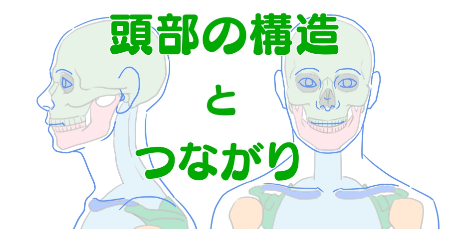 目の下のくぼみ・ふくらみ・涙袋の名前 画像で徹底解説！