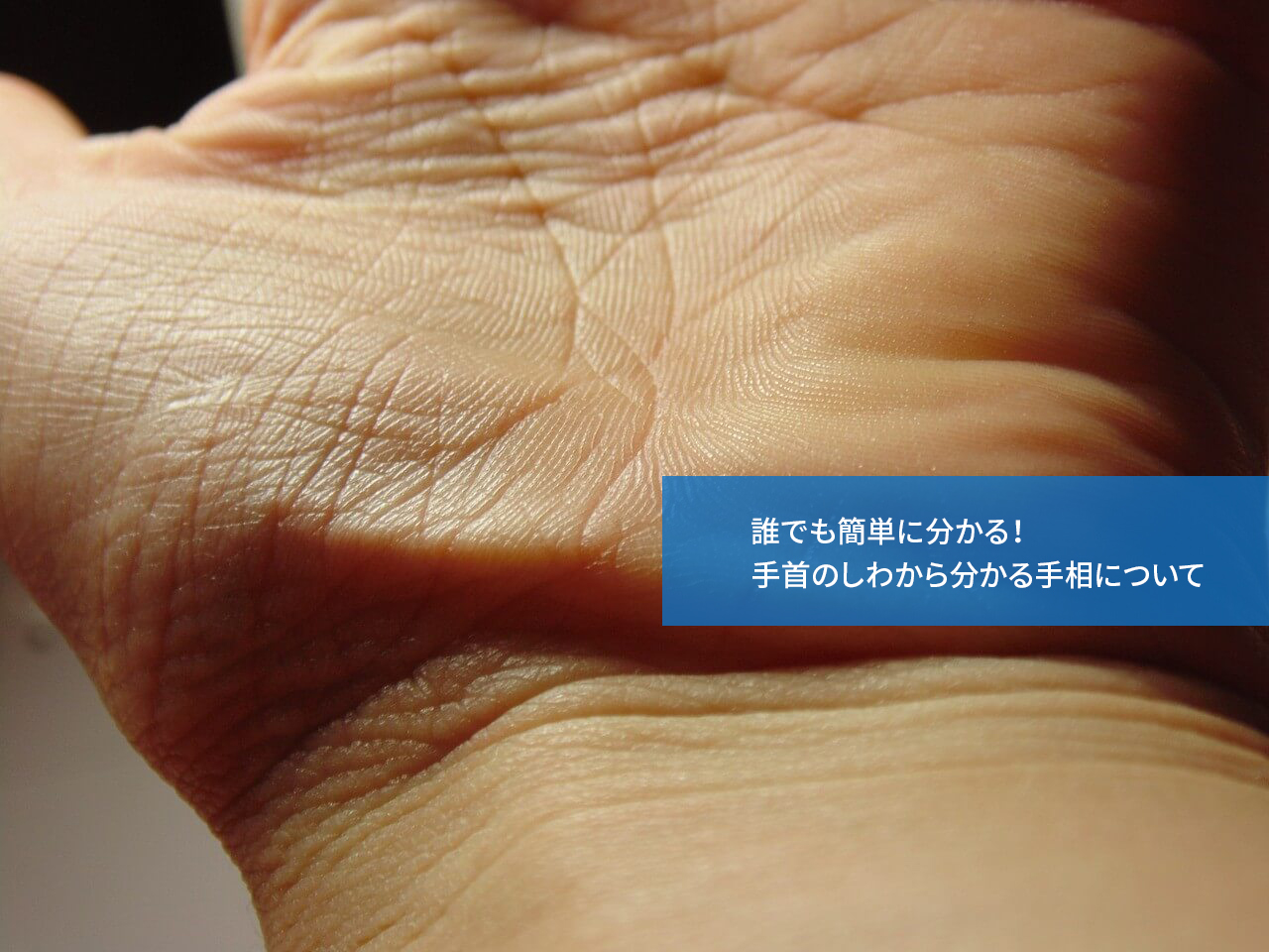 手相 生命線 枝分かれ 3本TikTok