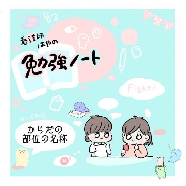 女性のカラダの構造仙台市 産婦人科セイントマザークリニック