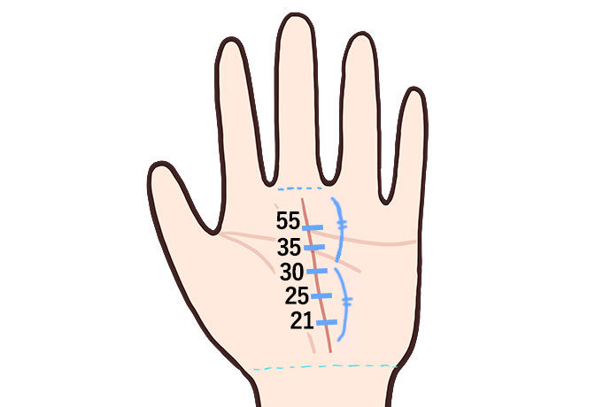 影響線手相占いの見方や意味まとめ！運命の出会いはいつ？ - 電話占いおすすめ情報比較サイトキャラミル研究所