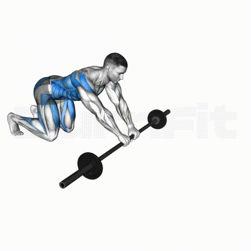 腹筋器具ダンベルベンチ頑丈バーベルラック、調節可能な頑丈なスチールスクワットディッピングステーション、家庭用健康＆フィットネスウェイ 腹筋 器具ダンベルベンチバーベルスクワットラックスタンド、高さ調節可能なホーム ジムダンベルラック、高耐久頑丈なスチール