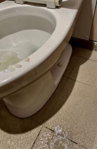 気持ち悪くてトイレから動けない女子イラスト - No: 22559547無料イラスト・フリー素材なら「イラストAC」