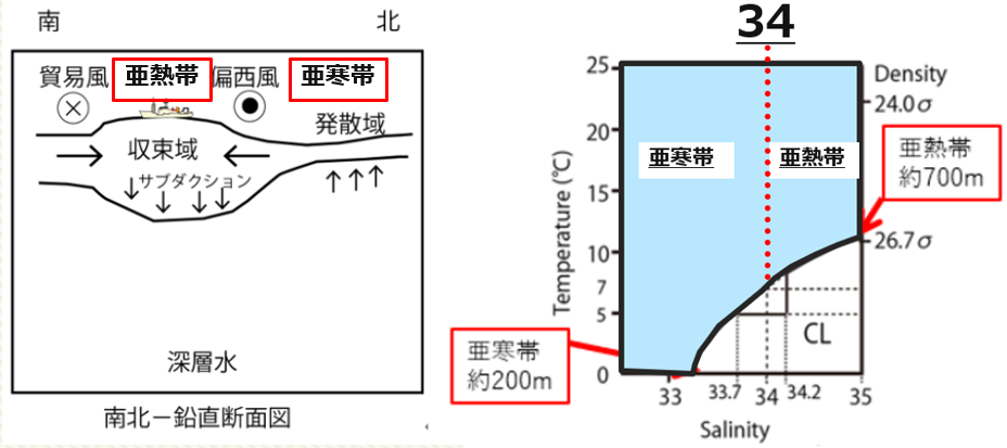 海の表層・中層・底層の違いは？どんな魚が泳ぐの？サカナシティ
