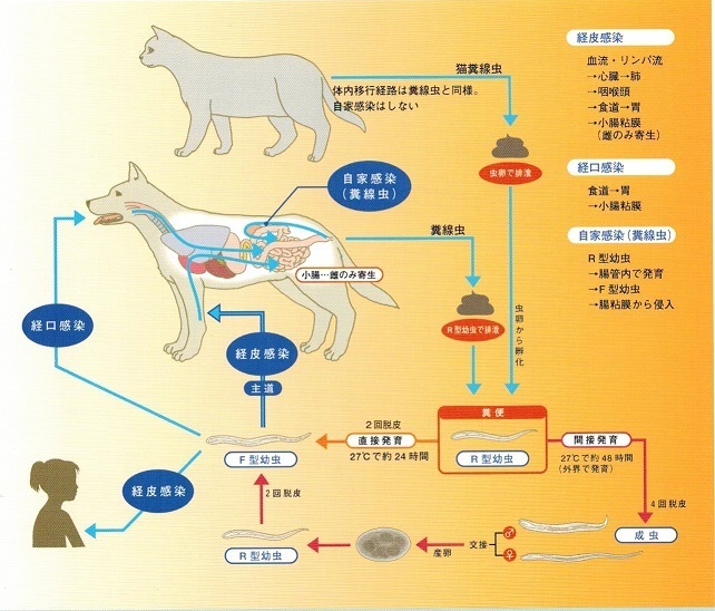 屎尿・下水研究会